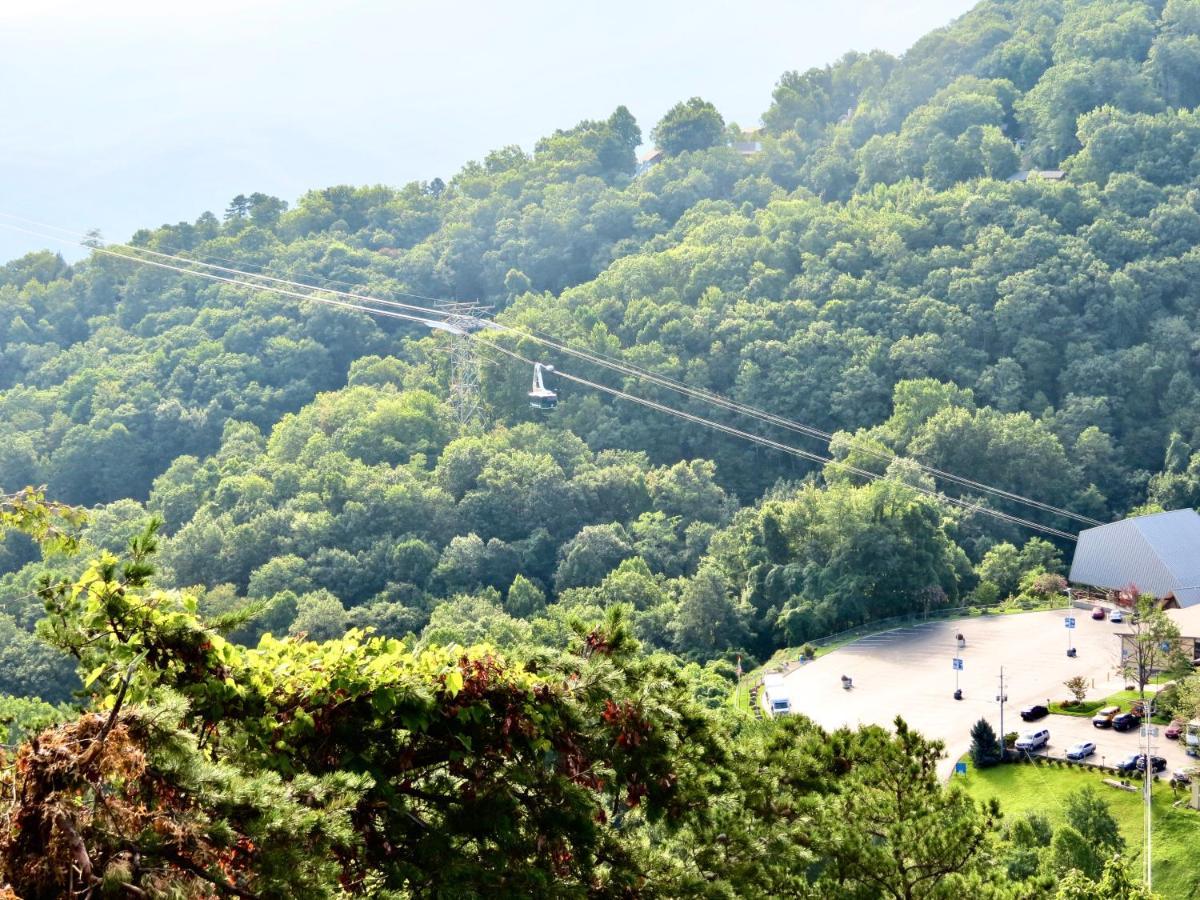 Million Dollar Views! 4 Bedroom, Sleeps 9, Close To National Park And 5 Mi To Gatlinburg! Екстериор снимка